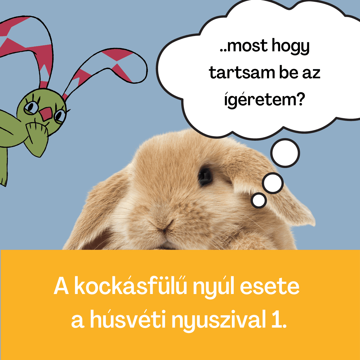 kockásfülű1_optimized